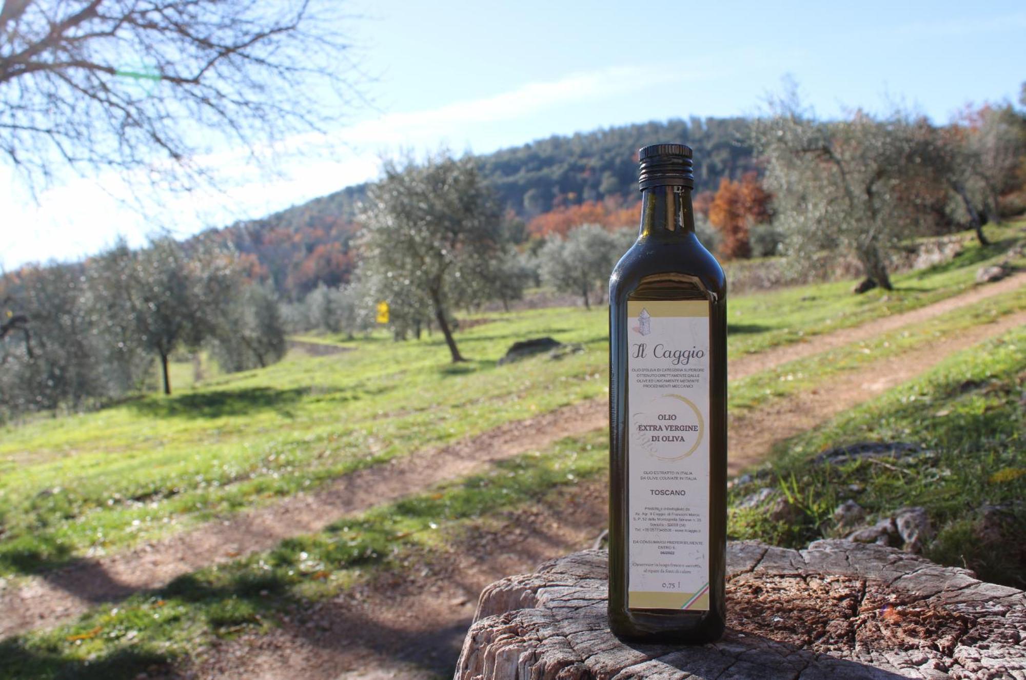 Agriturismo Il Caggio 소비씰 외부 사진